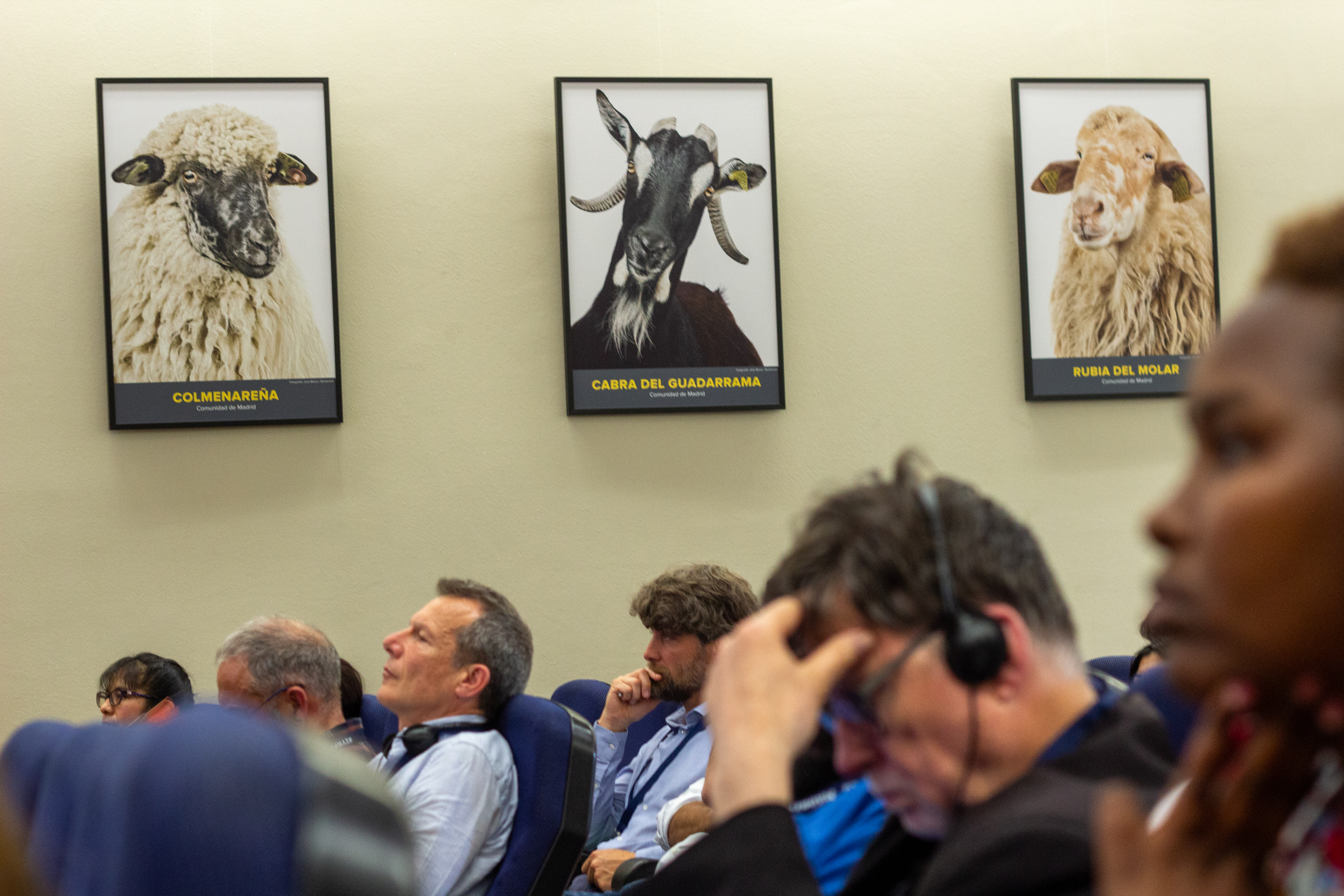 Event Gallery - IYRP 2026